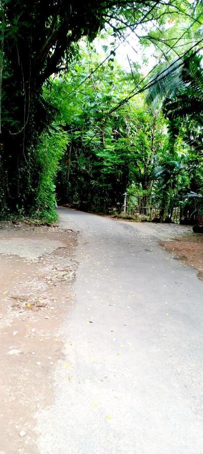 Green Villa Hikkaduwa Ngoại thất bức ảnh